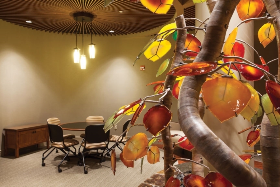 Tahoe Forest Cancer Center